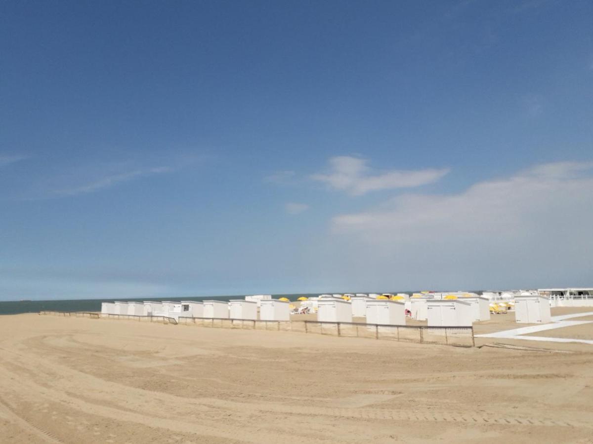 Studio Spacieux 50 M2 Pour 2+2 Tout Confort كنوك هايست المظهر الخارجي الصورة